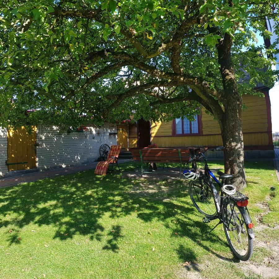 Sloneczna Dolina Nad Biebrza Guest House Goniadz Ngoại thất bức ảnh